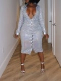 Silver Sequin Button Dress