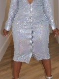 Silver Sequin Button Dress